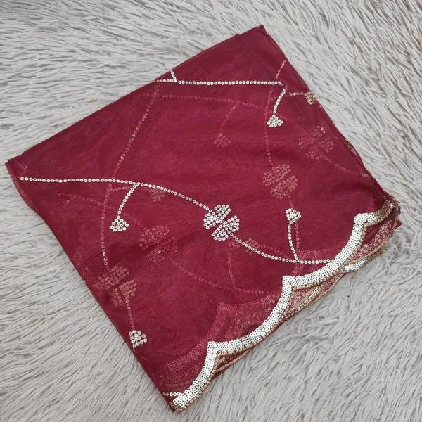 Heavy Tissue Net 2 mtr Dupatta With Sequence work | DS74