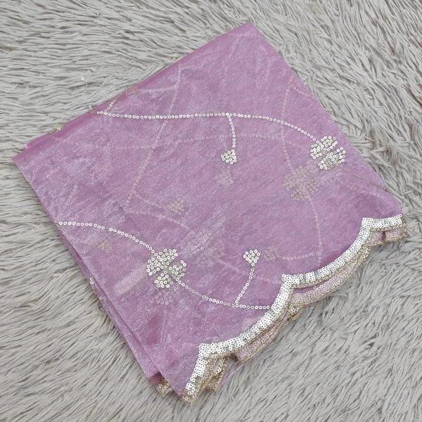 Heavy Tissue Net 2 mtr Dupatta With Sequence work | DS72