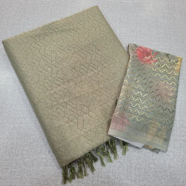 Heavy neted Saree with Contrast blouse | SR173