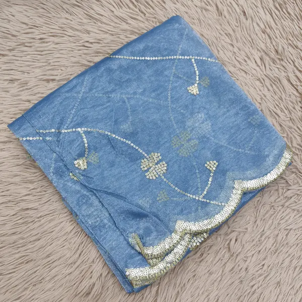 Heavy Tissue Net 2 mtr Dupatta With Sequence work | DS79