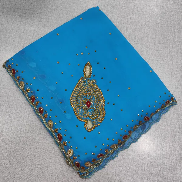 Plain chiffon Saree with Culcatta handwork | SR191