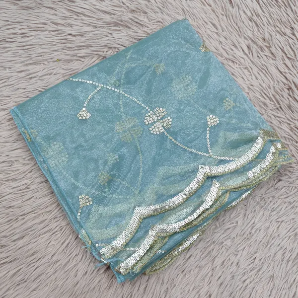 Heavy Tissue Net 2 mtr Dupatta With Sequence work | DS78