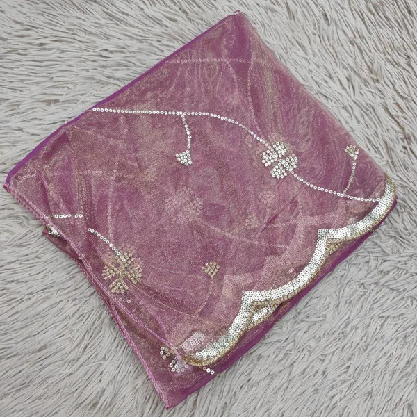 Heavy Tissue Net 2 mtr Dupatta With Sequence work | DS73