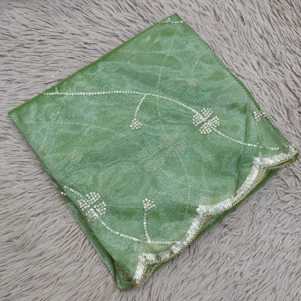 Heavy Tissue Net 2 mtr Dupatta With Sequence work | DS65