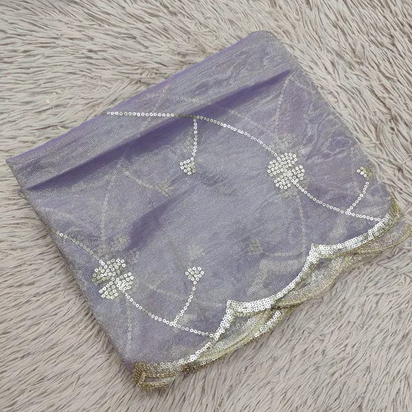 Heavy Tissue Net 2 mtr Dupatta With Sequence work | DS64